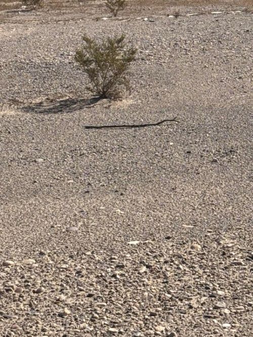 4070 Tierra Vista Drive, Yucca, AZ, 86438 | Card Image