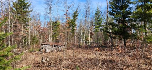 7746 N Woodbridge Rd, White Cloud, MI, 49349 | Card Image