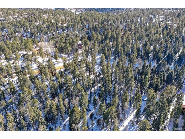 810 Ridge Rd, Home with 0 bedrooms, 0 bathrooms and null parking in Divide CO | Image 16