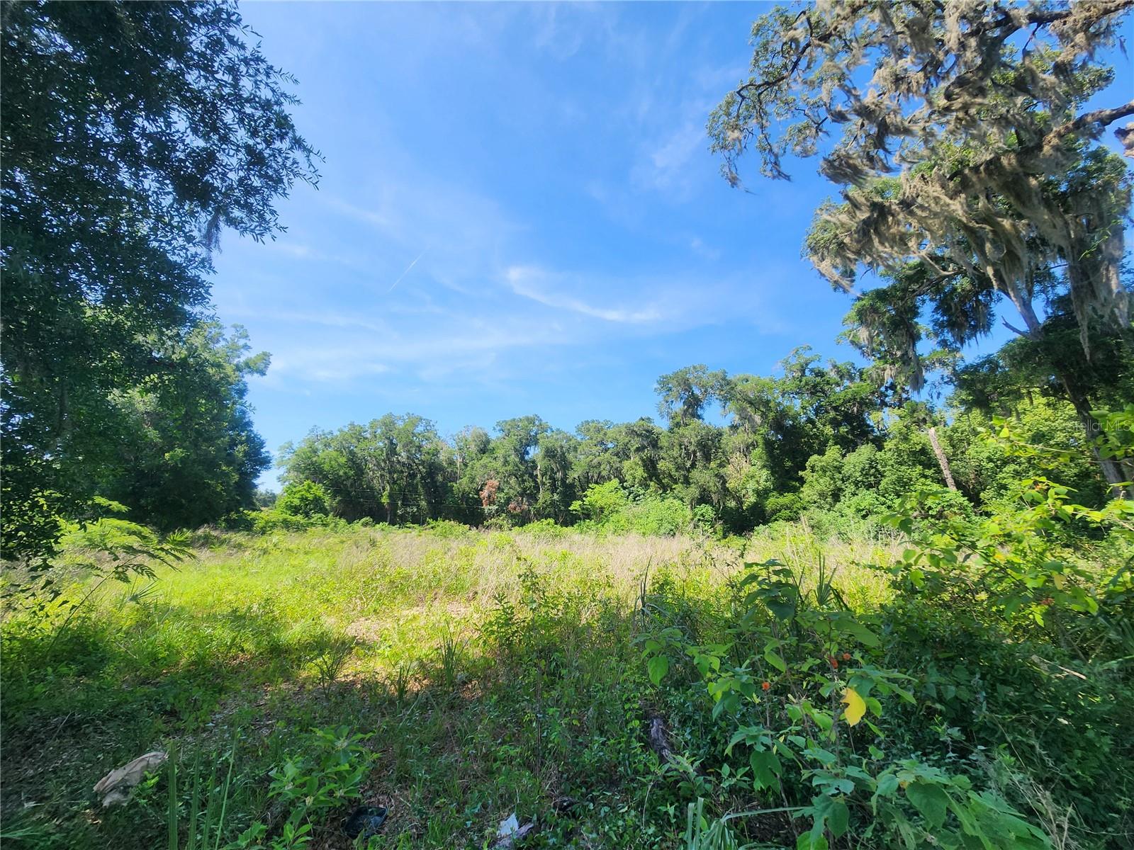 Land in ANTHONY 4