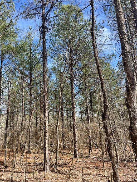 Land in Broken Bow 4