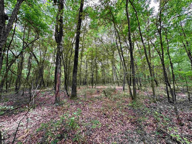 000 Oak Dale Rd, Home with 0 bedrooms, 0 bathrooms and null parking in Lonoke AR | Image 16