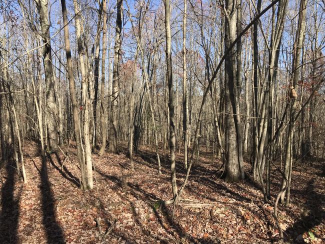 6 Hobbstown Rd, Home with 0 bedrooms, 0 bathrooms and null parking in Dunlap TN | Image 12