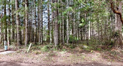 361 Se Ryan Rd, Shelton, WA, 98584-9260 | Card Image