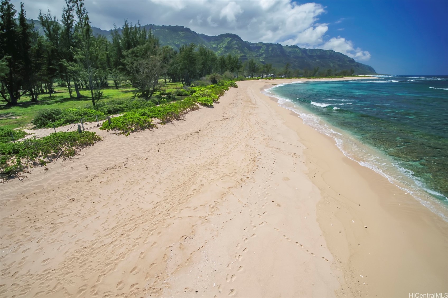 Land in Waialua 5