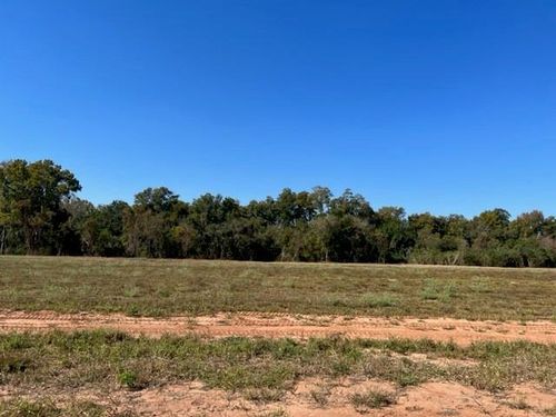 3017 Bayou Fields Drive, Alexandria, LA, 71303 | Card Image