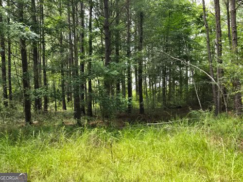 0 Old River Rd, Rockledge, GA, 30454 | Card Image