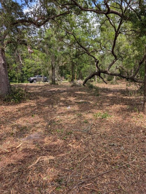 0 Ne 220th St, Fort Mc Coy, FL, 32134 | Card Image