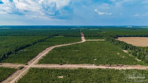 LOT 87 Posie Forest Rd, Milton, FL, 32570 | Card Image
