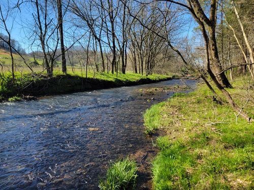 0 Campbellsville Pike, Lynnville, TN, 38472 | Card Image