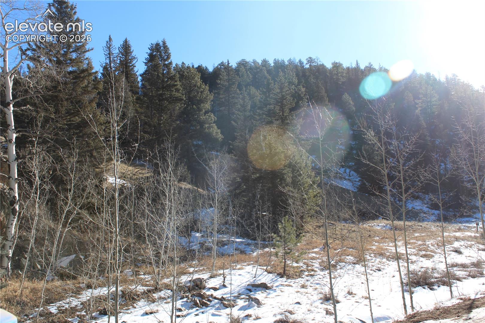 Land in Westcliffe 4