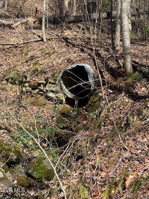 Tbd Spivey Mountain Rd, Erwin, TN, 37650 | Card Image