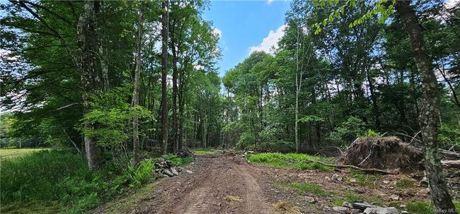Lot 81.4 County Road 114, Home with 0 bedrooms, 0 bathrooms and null parking in Cochecton NY | Image 4