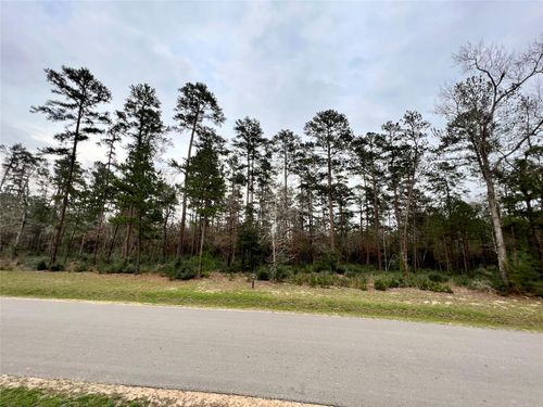 7 Lily Bean Rd, Montgomery, TX, 77316 | Card Image