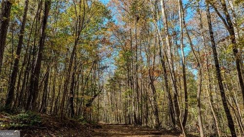 3-0 Jones Ferry Rd, Palmetto, GA, 30268 | Card Image