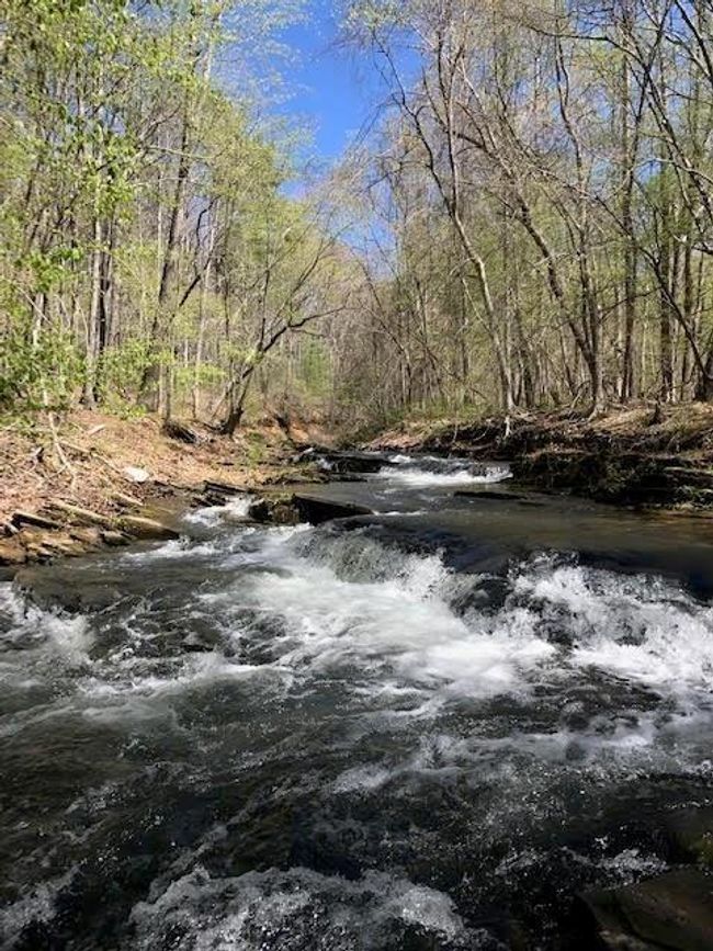 572 Cutthroat Rdg, House other with 3 bedrooms, 4 bathrooms and null parking in Jasper GA | Image 73
