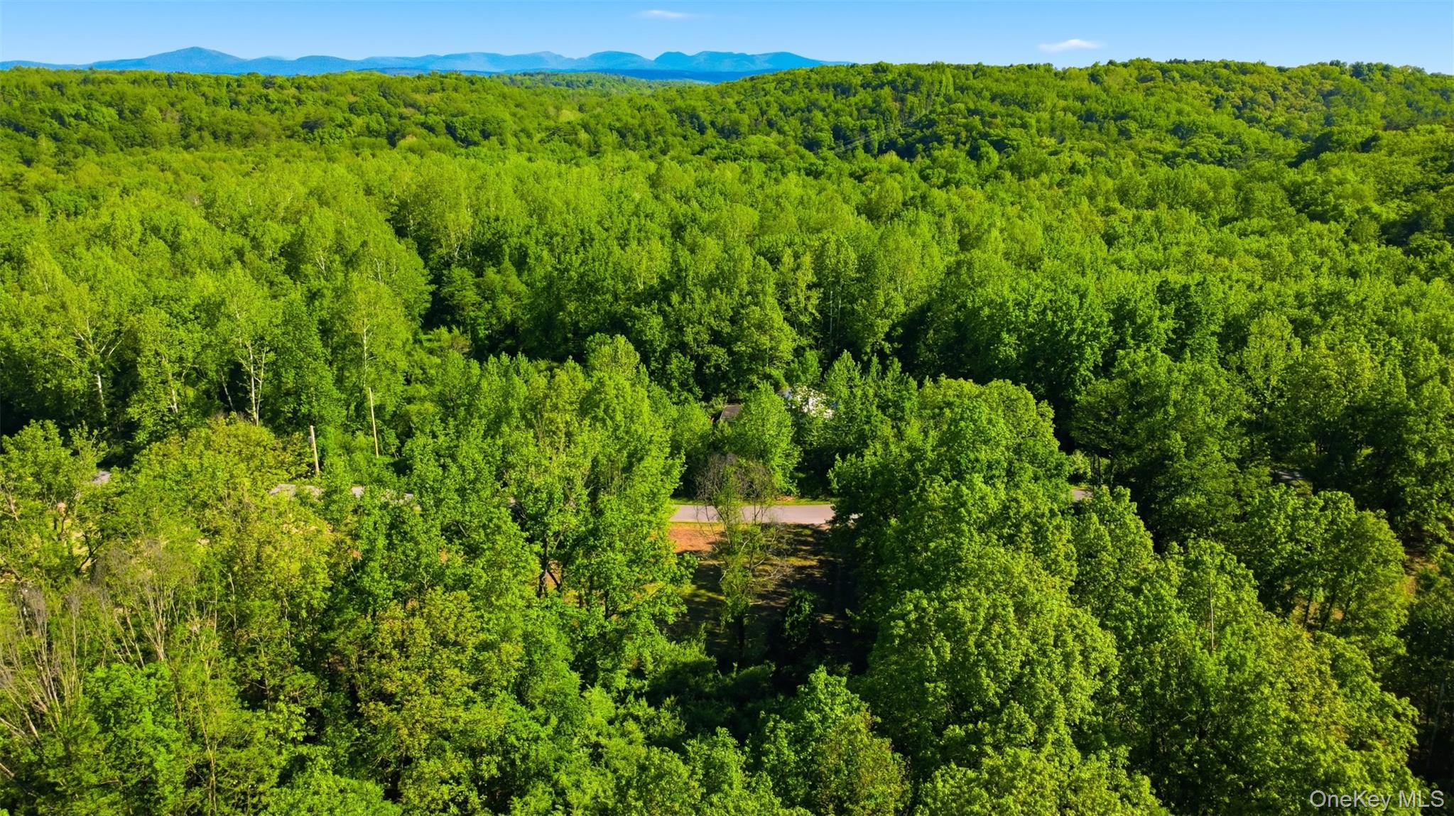 Land in Marbletown 5