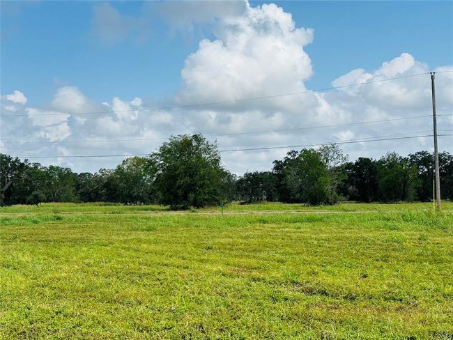 274 Pony Trl, Home with 0 bedrooms, 0 bathrooms and null parking in Angleton TX | Image 8