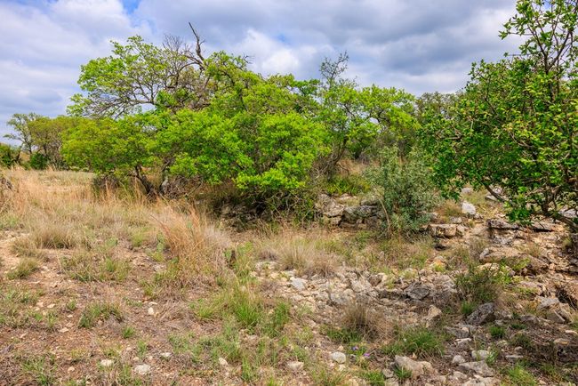 3276 Link Rd, Home with 0 bedrooms, 0 bathrooms and null parking in Doss TX | Image 19