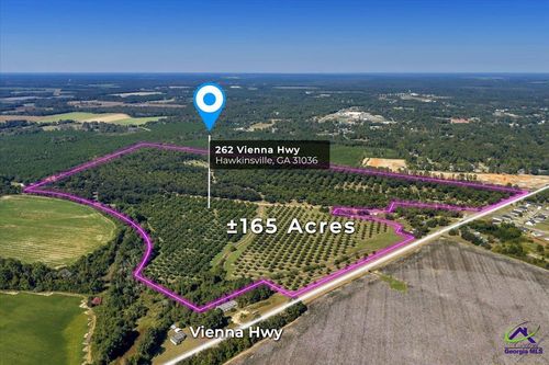 262 Vienna Hwy, Hawkinsville, GA, 31036-8202 | Card Image