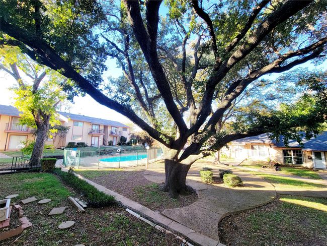 View of yard | Image 22