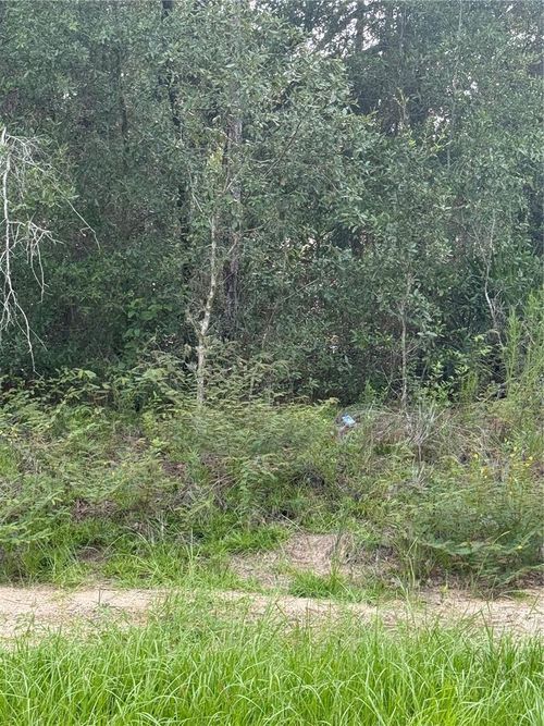 10860 N Mataro Avenue, CITRUS SPRINGS, FL, 34434 | Card Image