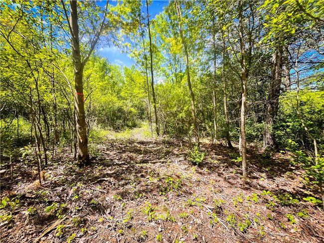 200 Straw Hill Rd, Home with 0 bedrooms, 0 bathrooms and null parking in Barton NY | Image 39