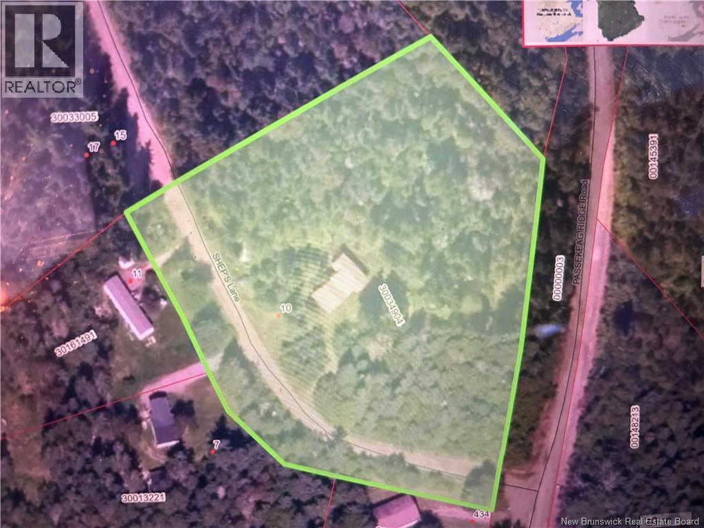 Land in Salt Springs 3