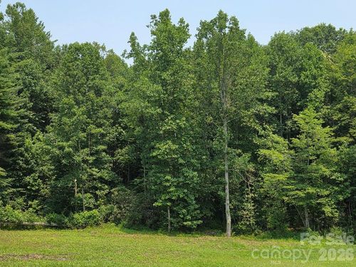 Lot 4 Appalachian Retreat None, Spruce Pine, NC, 28777 | Card Image