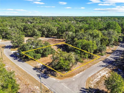 0 Guava Terrace Place & Bay Place Run, Ocklawaha, FL, 32179 | Card Image
