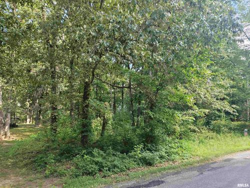 0000 White Birch Ct, Benton, IL, 62812 | Card Image