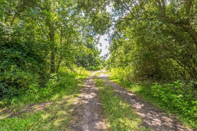 0 Davis Bend Rd, Home with 0 bedrooms, 0 bathrooms and null parking in Alvin TX | Image 19