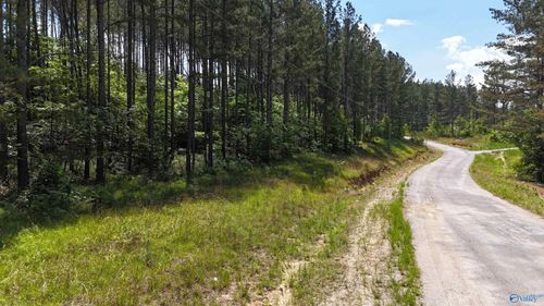 058 Pine Hills Way, Piedmont, AL, 36272 | Card Image