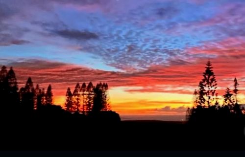 458-34 Linohau Pl, Maunaloa, HI, 96770 | Card Image