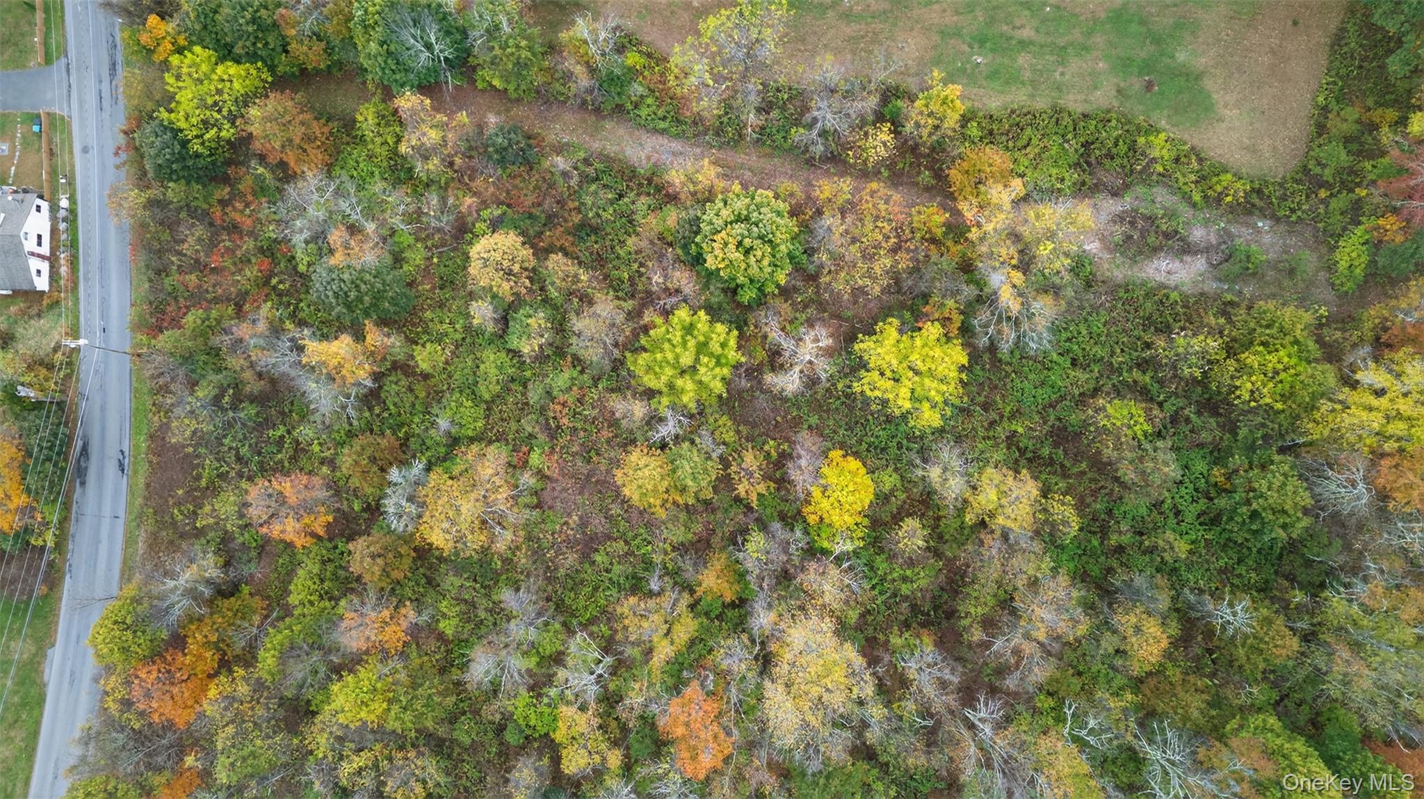 Land in New Paltz 2