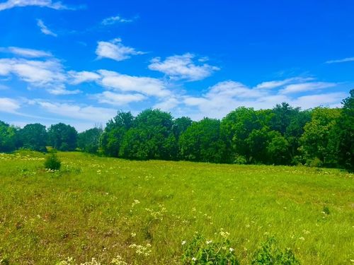Lot 100 Arlow Rd, Poolville, TX, 76487 | Card Image
