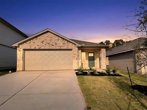 264 Texas Palmetto Cir, Kyle, TX, 78640-3539 | Card Image