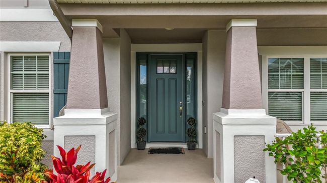 33668 Willow Point Ct, House other with 5 bedrooms, 4 bathrooms and null parking in WESLEY CHAPEL FL | Image 89