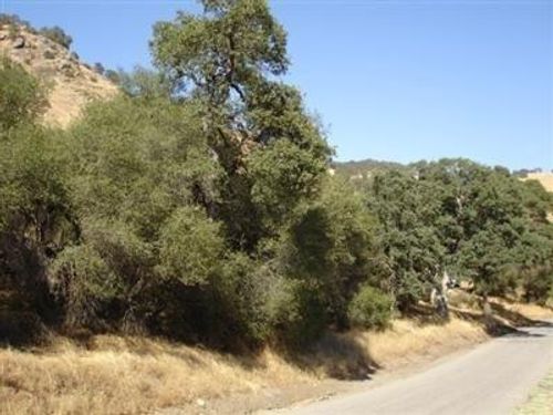 295 Ruth Hill Rd, Squaw Valley, CA, 93675 | Card Image