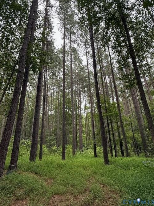 13 Acres Pridesville Road, Amelia, VA, 23002 | Card Image