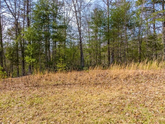 Lot 6 N Sunset Lane, Home with 0 bedrooms, 0 bathrooms and null parking in Bland VA | Image 18