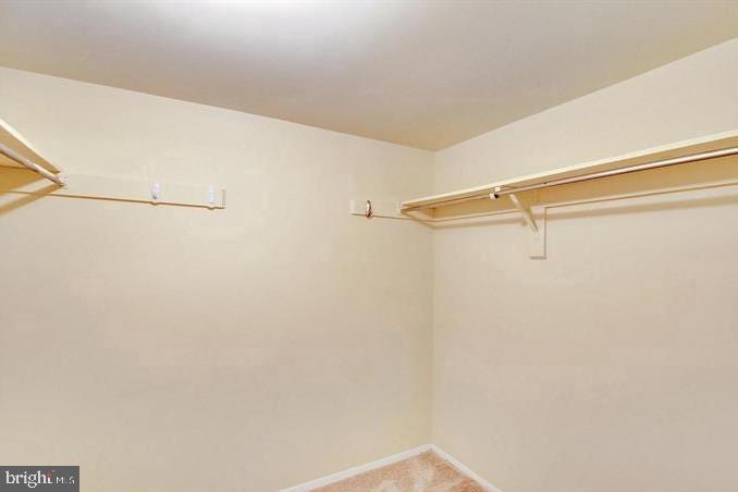 Residential Lease in MONTGOMERY VILLAGE 5