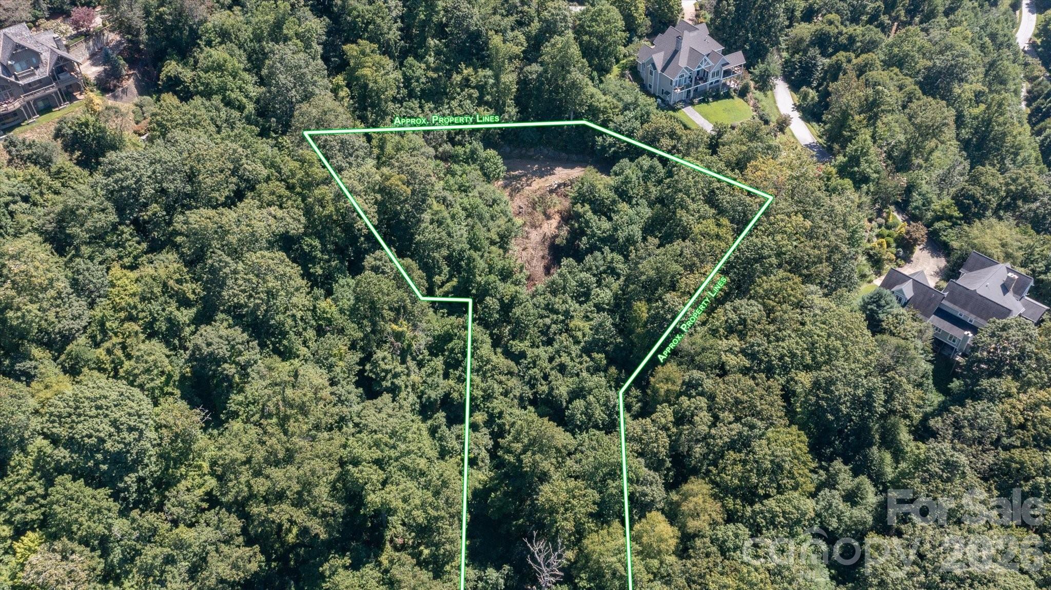 Land in Asheville 3