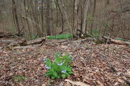 Tbd Lakeside Dr, Johnson City, TN, 37615 | Card Image