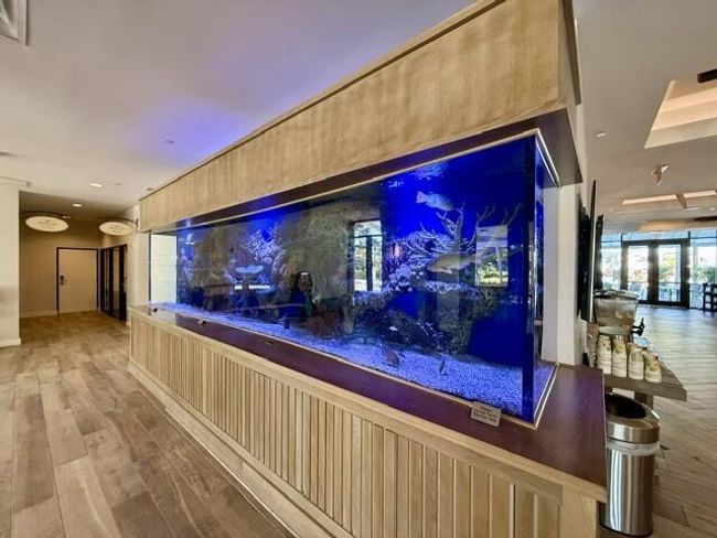 Hawks Cay Aquarium | Image 42