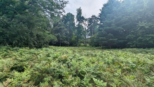 167-V/L Meadowview Trail, Eden Township, MI, 49405 | Card Image