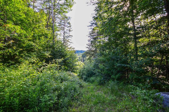 LOT-3 - 00 Vt Route 103 N, Home with 0 bedrooms, 0 bathrooms and null parking in Chester VT | Image 16