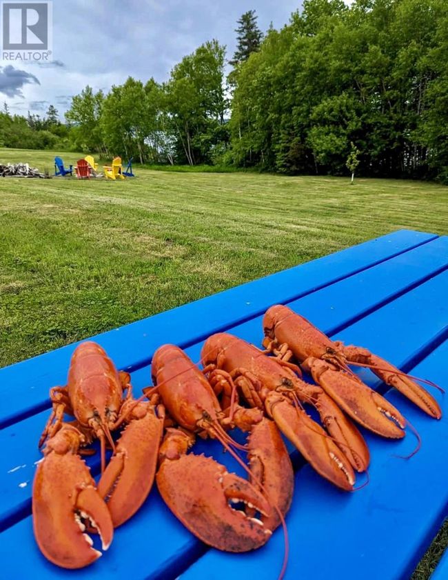 1543 W Lake Ainslie Rd, Home with 0 bedrooms, 0 bathrooms and null parking in Inverness NS | Image 45
