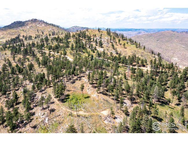 0 Stratton Park Rd, Home with 0 bedrooms, 0 bathrooms and null parking in Bellvue CO | Image 19