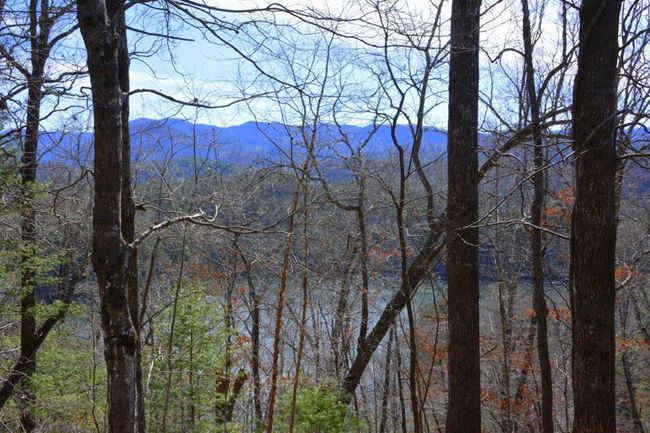 00 Chestnut Rdg, Home with 0 bedrooms, 0 bathrooms and null parking in Robbinsville NC | Image 4